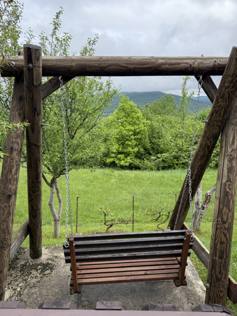 Holzschaukel mit Blick auf grüne Wiesen und bewaldete Hügel, ruhige Atmosphäre unter leicht bewölktem Himmel.