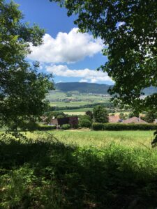 Blick durchs Grün aufs Tal: Aussicht durch Bäume auf ein Dorf und Felder im Tal, dahinter bewaldete Hügel und blauer Himmel.