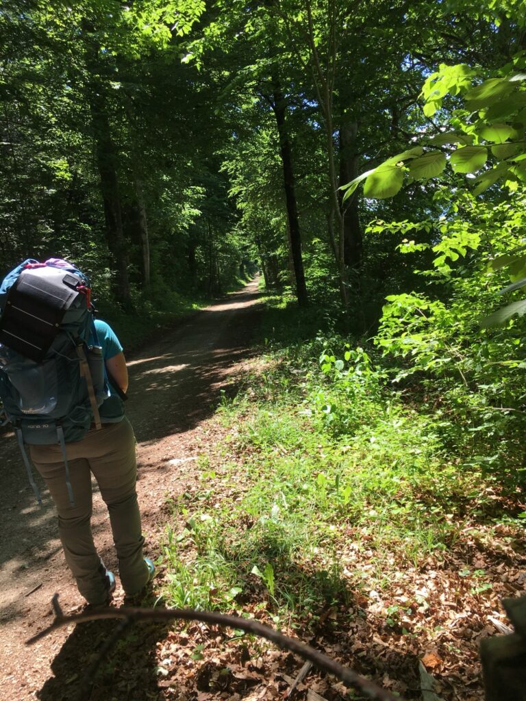Wanderin im Wald: Person mit Rucksack läuft auf einem schattigen Waldweg, Sonnenstrahlen brechen durch die Bäume.