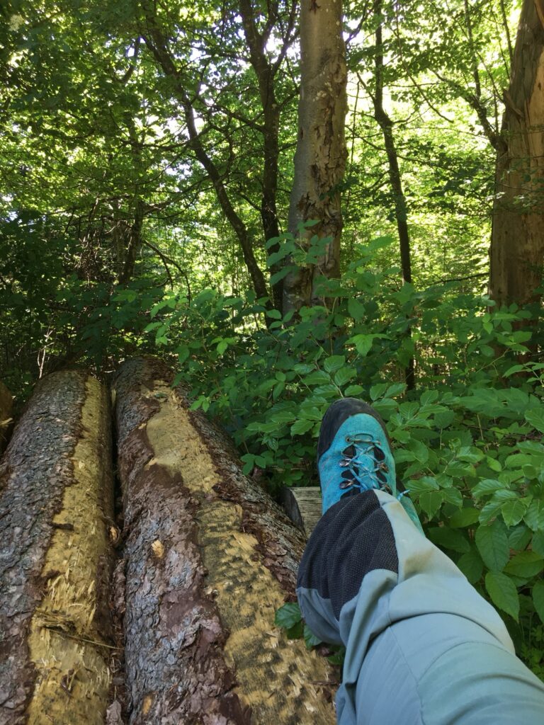 Pause auf Baumstämmen: Füße in Wanderschuhen ruhen auf frisch gefällten Baumstämmen im Wald, ringsum grüne Blätter.