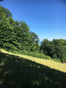 Blick Richtung Neuenburgersee: Wiesenhang im Schatten, dahinter Bäume und ein Stück blauer Neuenburgersee, darüber klarer Himmel.