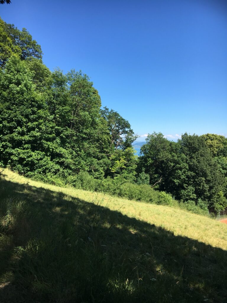 Blick Richtung Neuenburgersee: Wiesenhang im Schatten, dahinter Bäume und ein Stück blauer Neuenburgersee, darüber klarer Himmel.