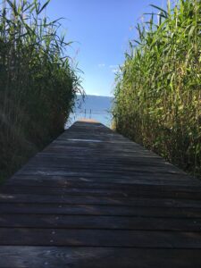 Steg durch Schilf: Holzsteg führt durch hohes Schilf direkt ans Seeufer, dahinter Berge im Hintergrund.