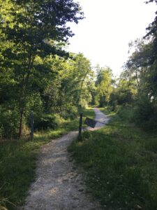 Waldweg: Schmaler Pfad mit Kette abgesperrt, führt durch einen lichten grünen Wald.