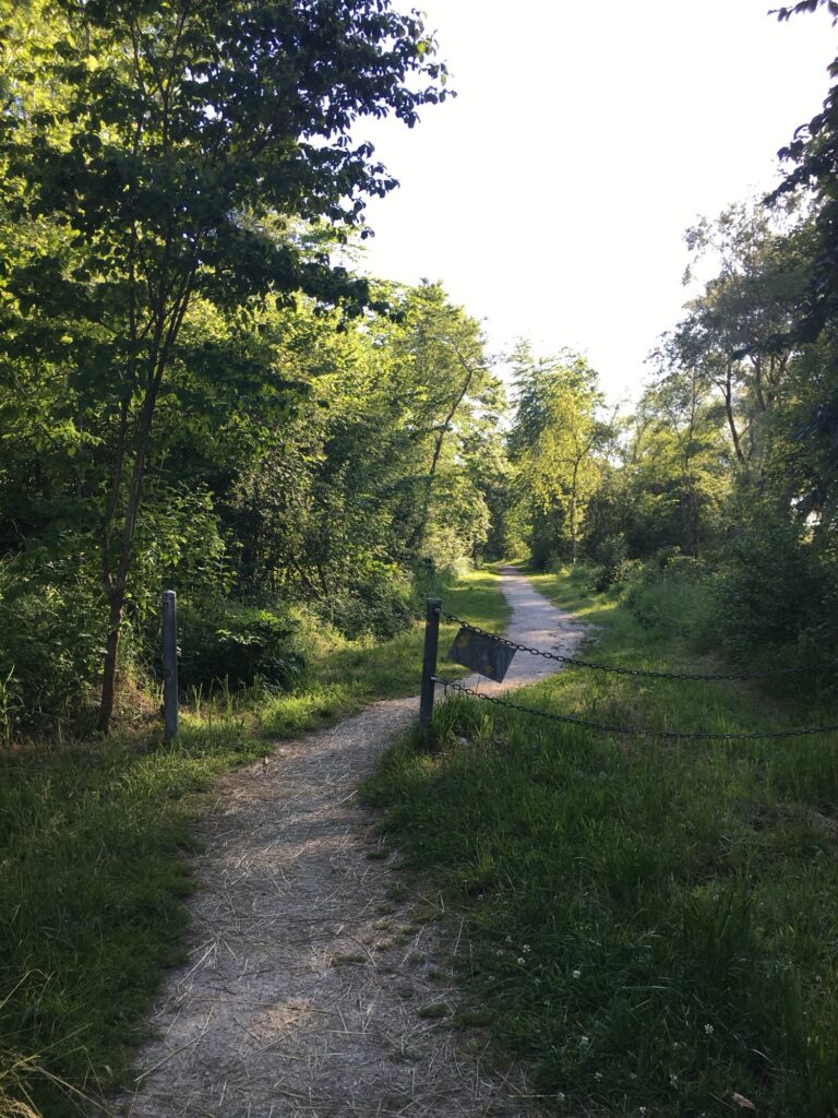 Waldweg: Schmaler Pfad mit Kette abgesperrt, führt durch einen lichten grünen Wald.