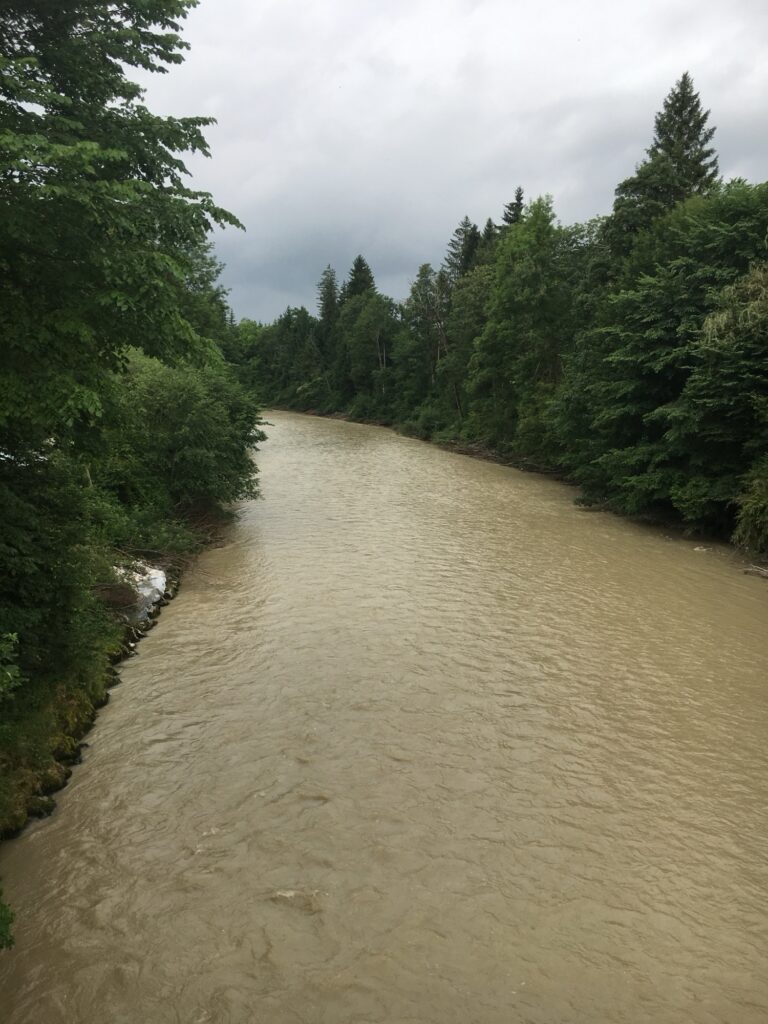 Blick über die Emme nach einem Regentag – braunes, fliessendes Wasser umgeben von sattem Grün.