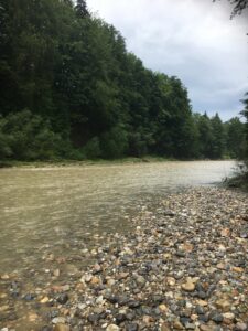 Steiniges Ufer der Emme mit Kieselsteinen in verschiedenen Farben, dahinter dichter Wald.