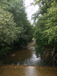 Kleiner Seitenarm der Emme, umgeben von dichtem Blätterdach und weichem Licht.