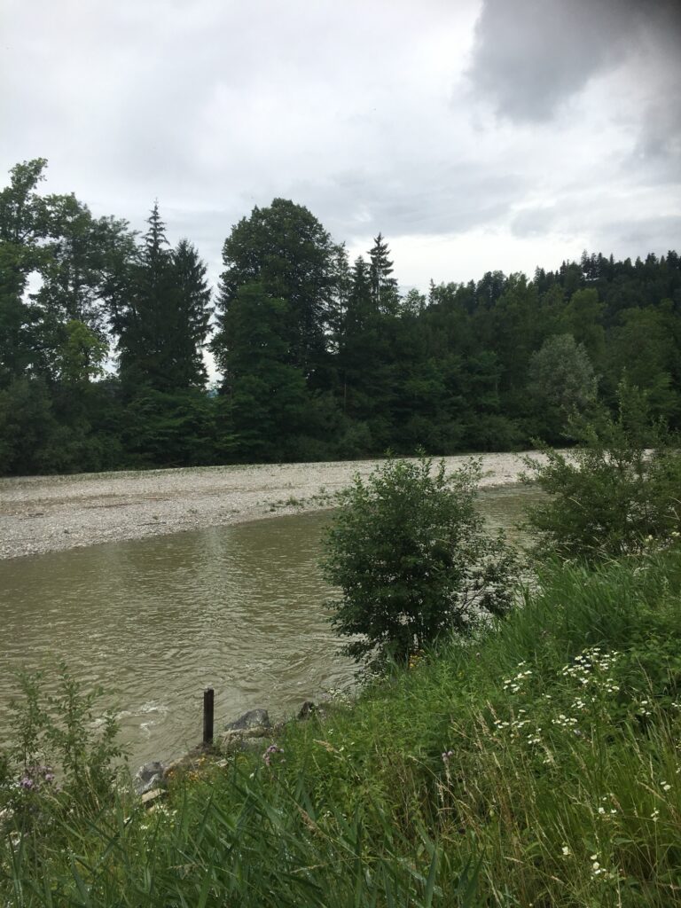 Ruhige Flusslandschaft an der Emme mit Wiesenblumen und üppigem Sommergrün.