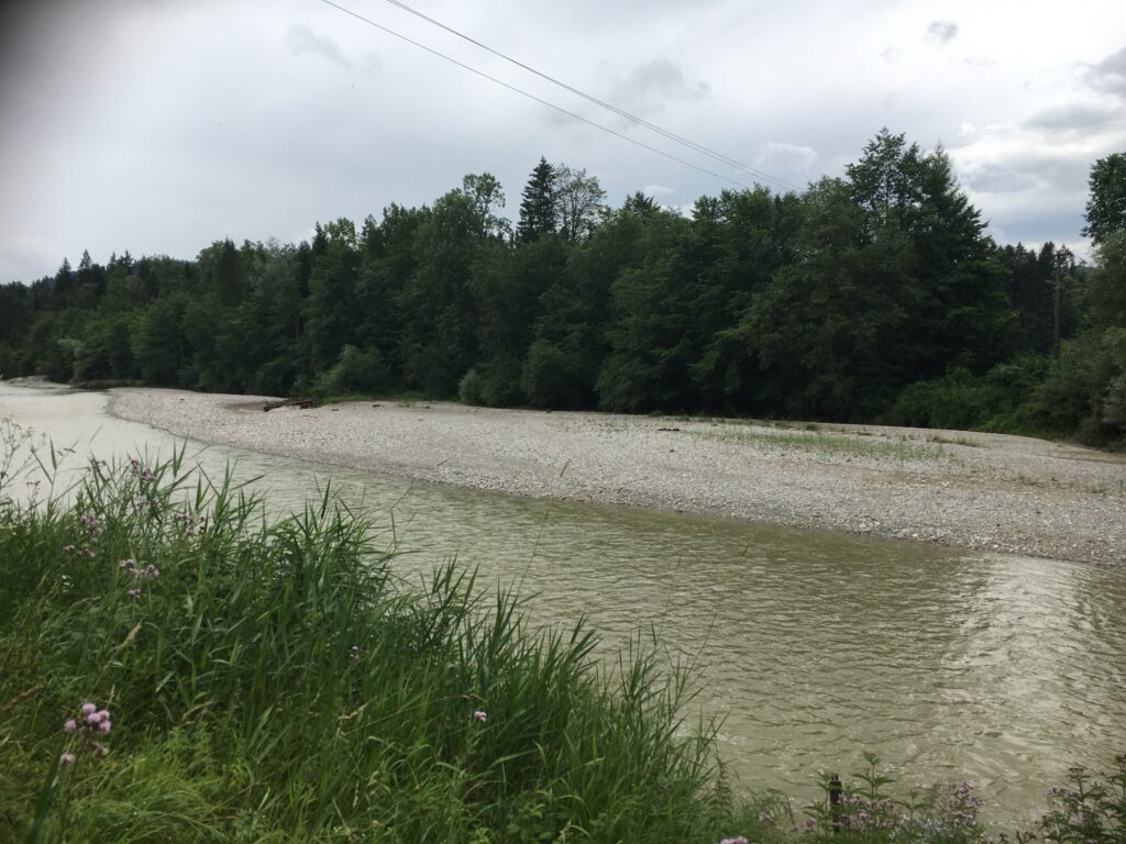 Kiesbank an der Emme mit flachem Wasserlauf, im Hintergrund dichter Mischwald
