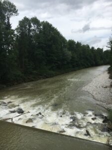 Die Emme mit leichtem Gefälle und kleinen Stromschnellen, eingerahmt von Bäumen.