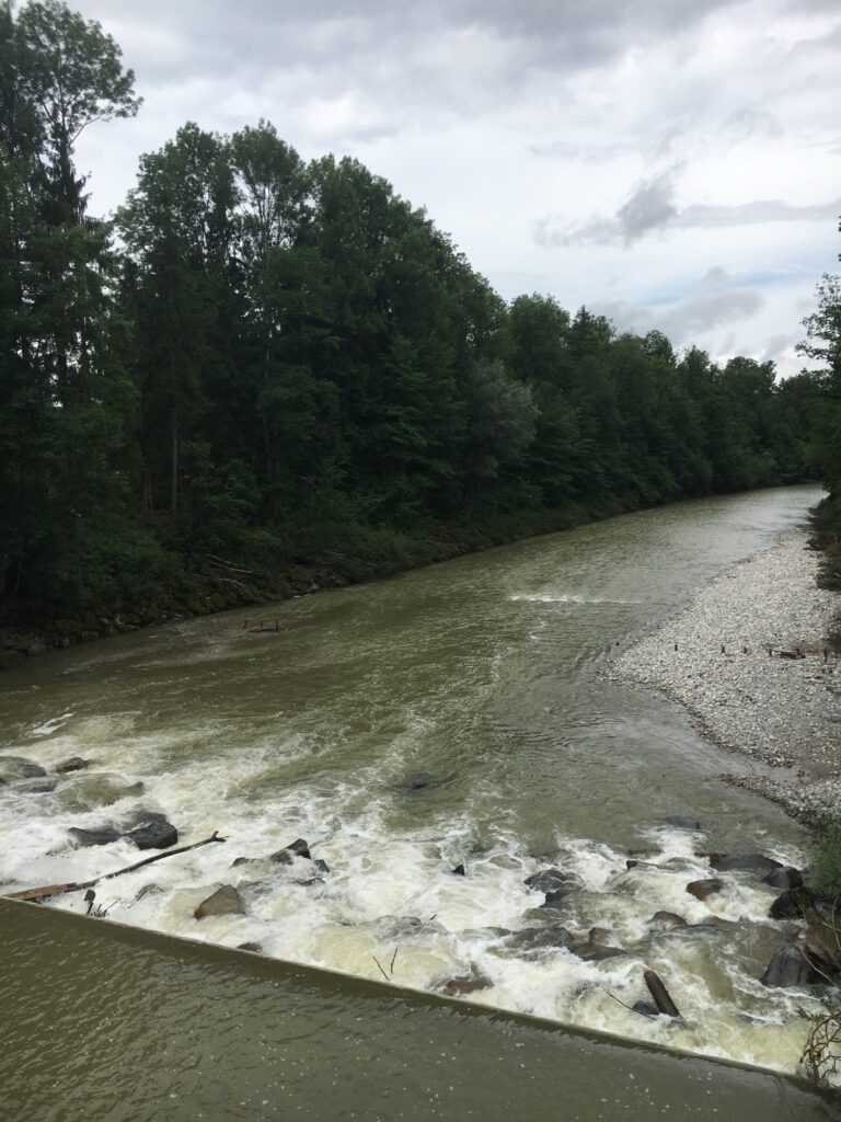Die Emme mit leichtem Gefälle und kleinen Stromschnellen, eingerahmt von Bäumen.