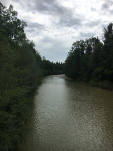 Blick auf die grün umrahmte Emme unter grauem Himmel – ruhiger Flusslauf inmitten dichter Wälder.