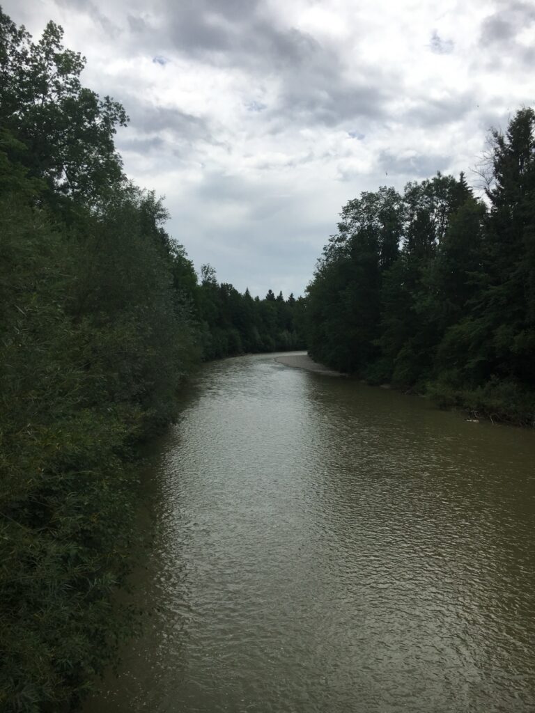 Blick auf die grün umrahmte Emme unter grauem Himmel – ruhiger Flusslauf inmitten dichter Wälder.