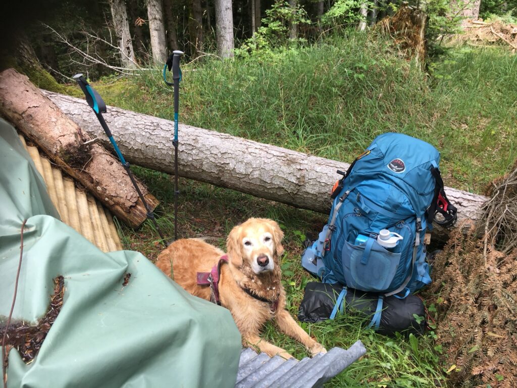 Wanderrucksack, Trekkingstöcke und Hund ruhen im Wald – kurze Pause auf dem Trans Swiss Trail im Emmental.