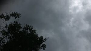 Dunkle Gewitterwolken ziehen über den Himmel, die Silhouette eines Baumes ragt in die Wolkendecke.