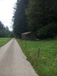 Schmaler Asphaltweg führt an einer alten Holzhütte vorbei, eingerahmt von Wald und Wiese im Emmental.
