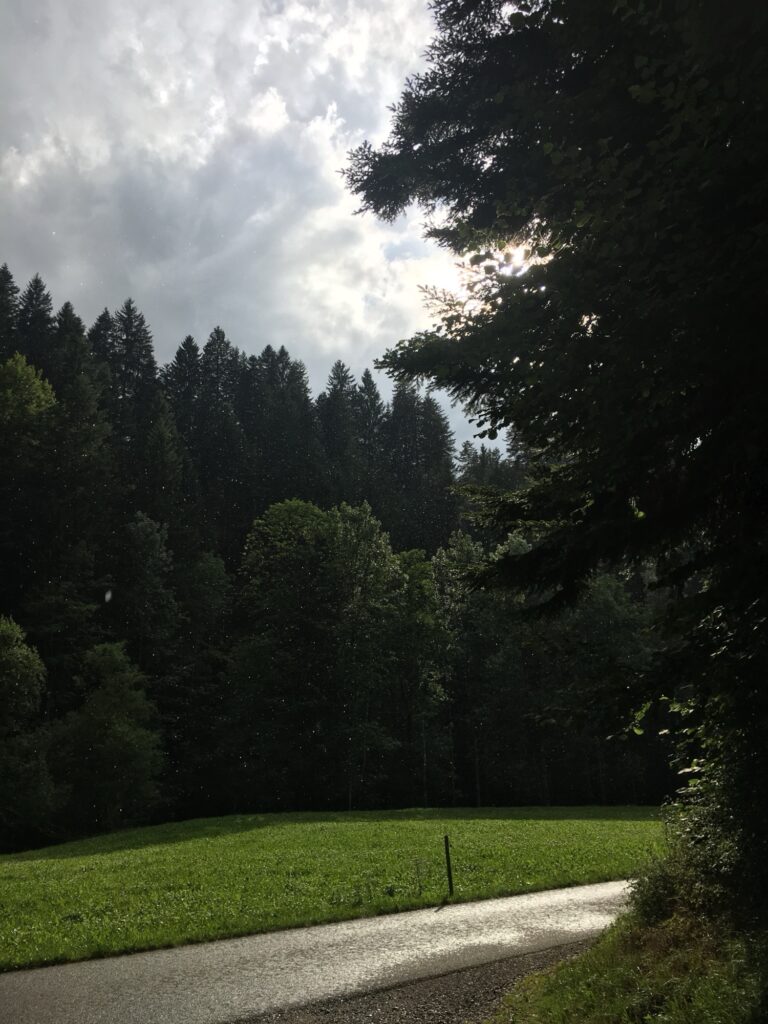 Sonnenstrahlen brechen durch die Wolken über einer grünen Wiese und dem dunklen Wald – ein kurzer Lichtmoment nach dem Regen.