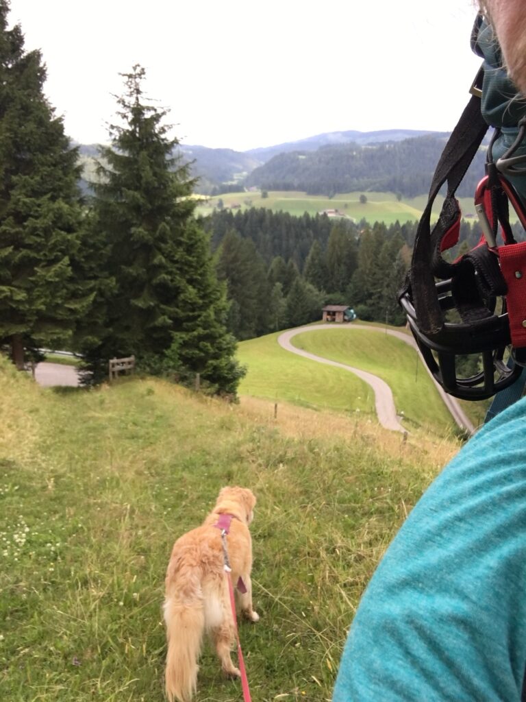 Unterwegs mit Hund: Hund an der Leine läuft voran, im Hintergrund weite Aussicht auf Wiesen, Wälder und Hügel.