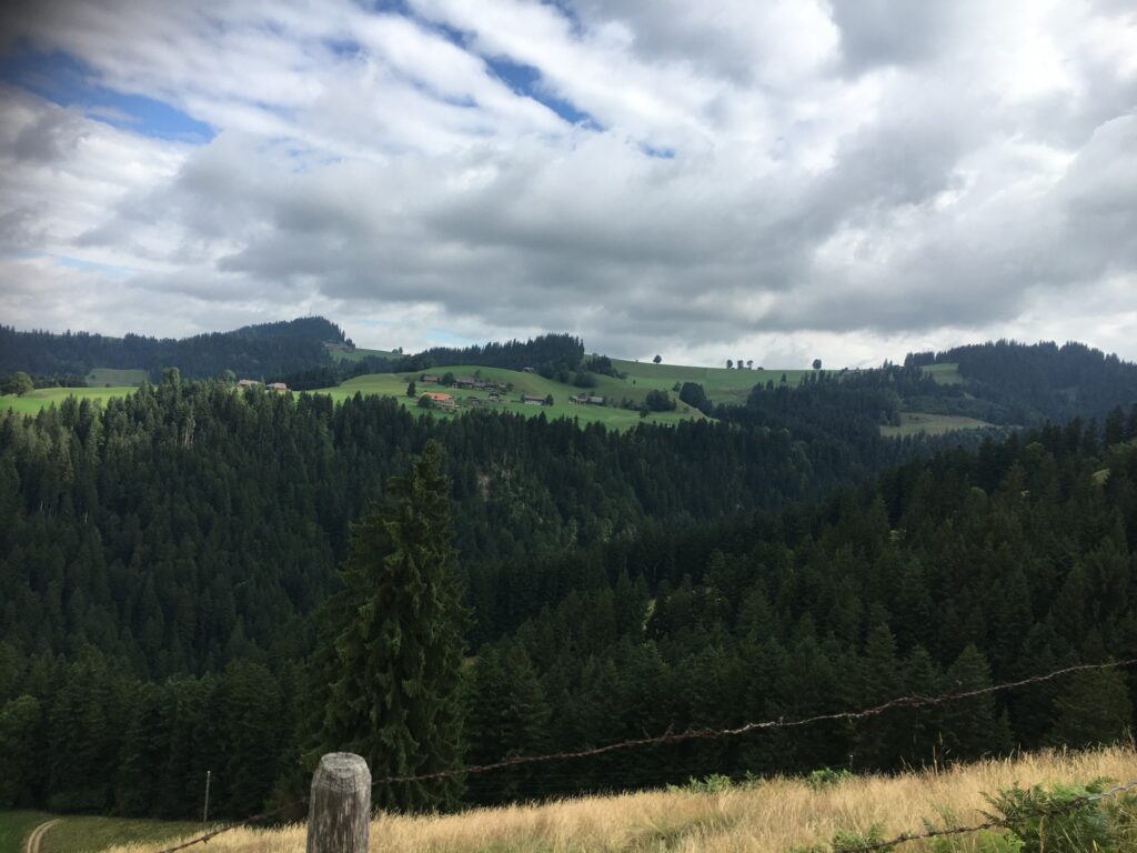 Wald und Hügel: Blick über ein bewaldetes Tal hinauf zu grünen Hügeln mit verstreuten Bauernhöfen.