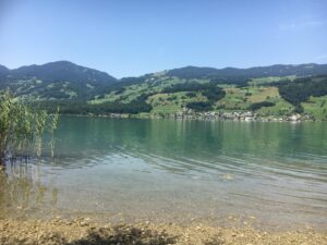 Seeufer mit Schilf: Ruhiger Sarnersee mit Blick auf die gegenüberliegenden Dörfer, Schilf im Vordergrund.