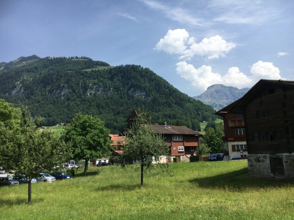 Traditionelle Holzhäuser und Obstbäume im Vordergrund, dahinter grüne bewaldete Hänge und ein markanter Berggipfel unter leicht bewölktem Himmel.