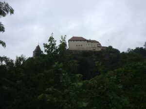 Schloss Laupen thront auf einem Felsvorsprung über der bewaldeten Umgebung, bei bewölktem Himmel.