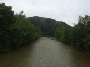 Blick von der Brücke auf den Zusammenfluss von Sense und Saane, umgeben von grünen Bäumen