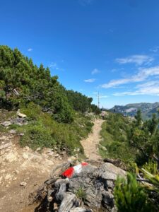 Markierter Steig zum Gipfel: Felsiger Weg mit Baumwurzeln, rot-weiß bemalter Stein, im Hintergrund Wanderer und Gipfelkreuz.