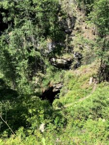 Dichter Wald über der Cholerenschlucht Adelboden mit Blick auf die tiefe Felsspalte.