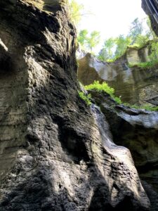 Blick nach oben auf die steilen, moosbewachsenen Felsen und Bäume der Cholerenschlucht Adelboden.