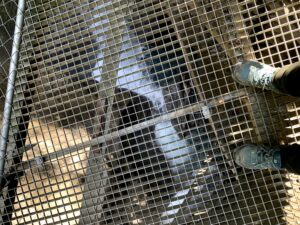 Blick durch den Gitterboden in der Cholerenschlucht Adelboden auf das darunter fliessende Wasser.