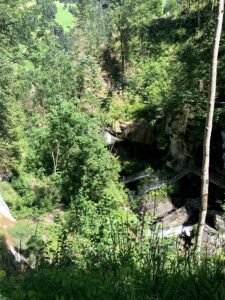 Blick von oben auf die Cholerenschlucht mit Holz- und Metallstegen zwischen dichtem Grün.