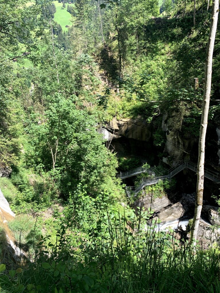 Blick von oben auf die Cholerenschlucht mit Holz- und Metallstegen zwischen dichtem Grün.
