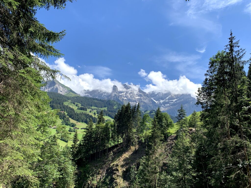 Aussicht auf die Berner Alpen bei Adelboden mit grünen Wiesen, Wäldern und blauen Himmel.