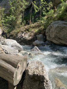 Klarer Gebirgsbach mit grossen Felsen – Sonnenlicht glitzert auf dem sprudelnden Wasser zwischen Steinen und Baumstämmen.