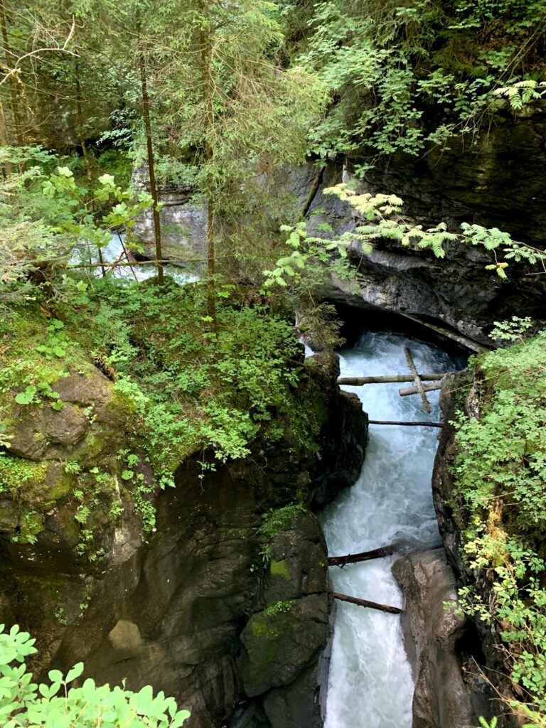 Tosende Schlucht mit Felsen und Baumstämmen – Blick in eine enge, wilde Felsschlucht mit stark fliessendem Wasser und umgestürzten Bäumen.