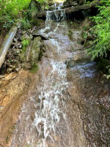 Kleiner Wasserfall im Wald – Ein schmaler Wasserlauf fliesst über moosbedeckte Steine und Holz ins Tal, umgeben von dichter Vegetation.