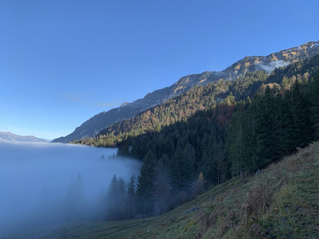 Nebelmeer im Tal unter blauem Himmel, von der Sonne beschienene Bergflanke und Wälder im Herbstlicht.