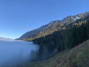 Nebelmeer im Tal unter blauem Himmel, von der Sonne beschienene Bergflanke und Wälder im Herbstlicht.