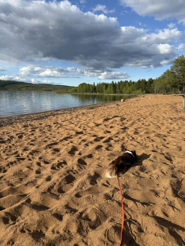 Nuo am Sandstrand – Mein kleiner Begleiter ruht sich am Seeufer aus, während die Sonne zwischen Wolken hindurchscheint – ein Moment der Stille unterwegs.