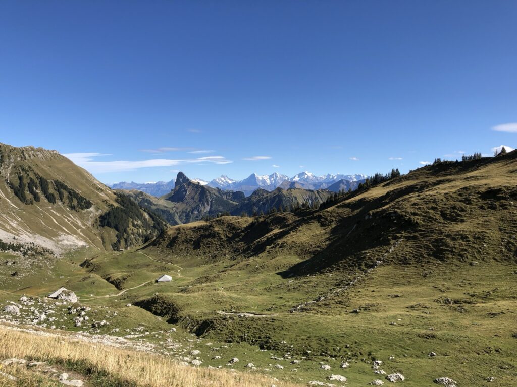 Weite Aussicht über die Gantrischregion mit Alpwiesen und Bergkuppen – Blick bis zu den Berner Alpen.