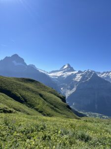Aussicht auf die grünen Hügel und markanten Schneegipfel der Berner Alpen beim Abstieg Richtung Axalp.