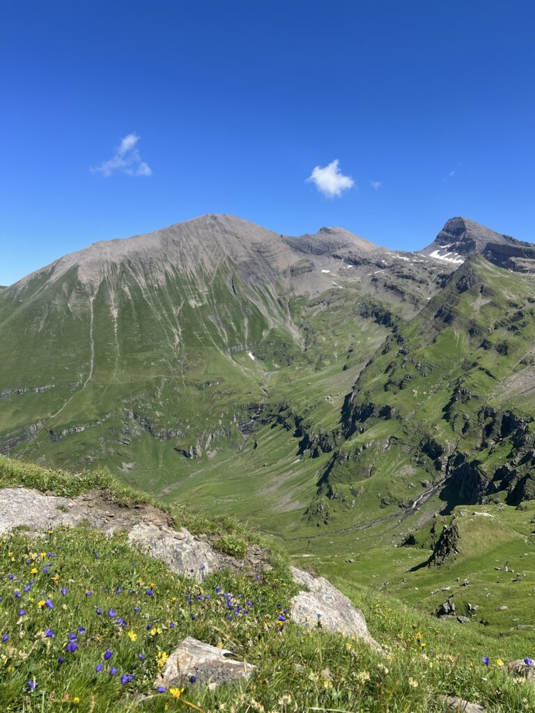 Blumenreiche Bergwiese mit Panorama auf die grünen Hänge und Gipfel entlang der First–Axalp-Wanderroute.