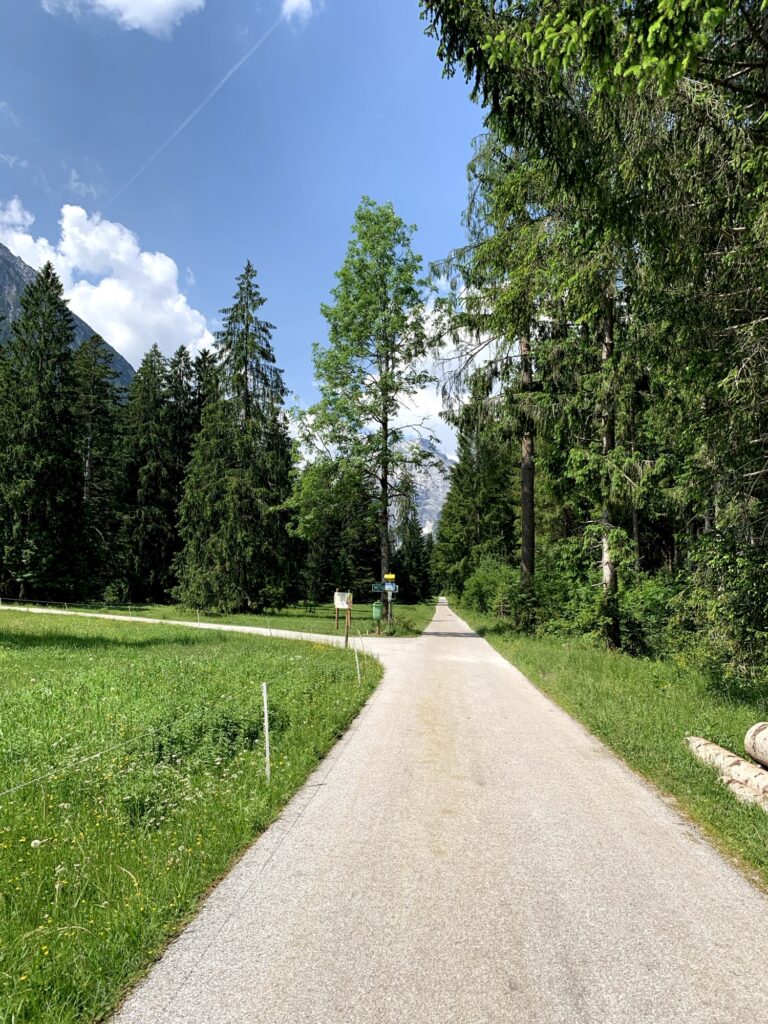 Gut ausgebauter Wanderweg durch Wald und Wiesen in Pertisau – perfekt für gemütliches Wandern in Tirol.