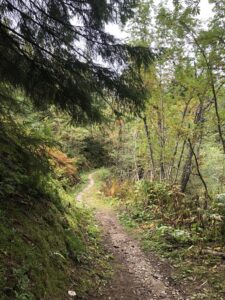 Schmaler Wanderweg durch herbstlichen Wald auf der Rundwanderung Selibühl im Gurnigelgebiet; moosige Böschung, buntes Laub und ruhige Naturstimmung.