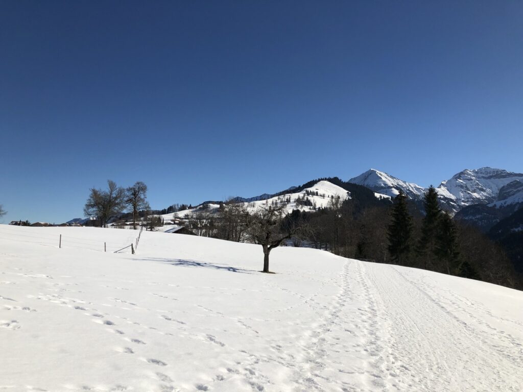 Aussicht vom Winterwanderweg Aeschiried auf den Niesen und die umliegenden Dörfer im Berner Oberland