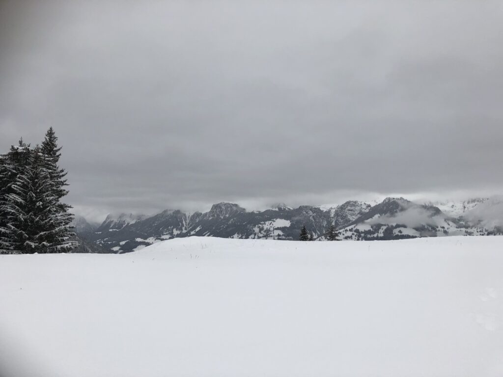 Verschneite Alpweide mit Blick auf das Bergpanorama im Diemtigtal bei bedecktem Winterhimmel