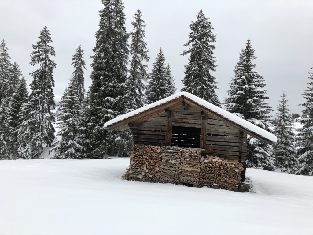 Weiter Blick über verschneite Hügel und Tannenwälder mit Bergpanorama im Diemtigtal