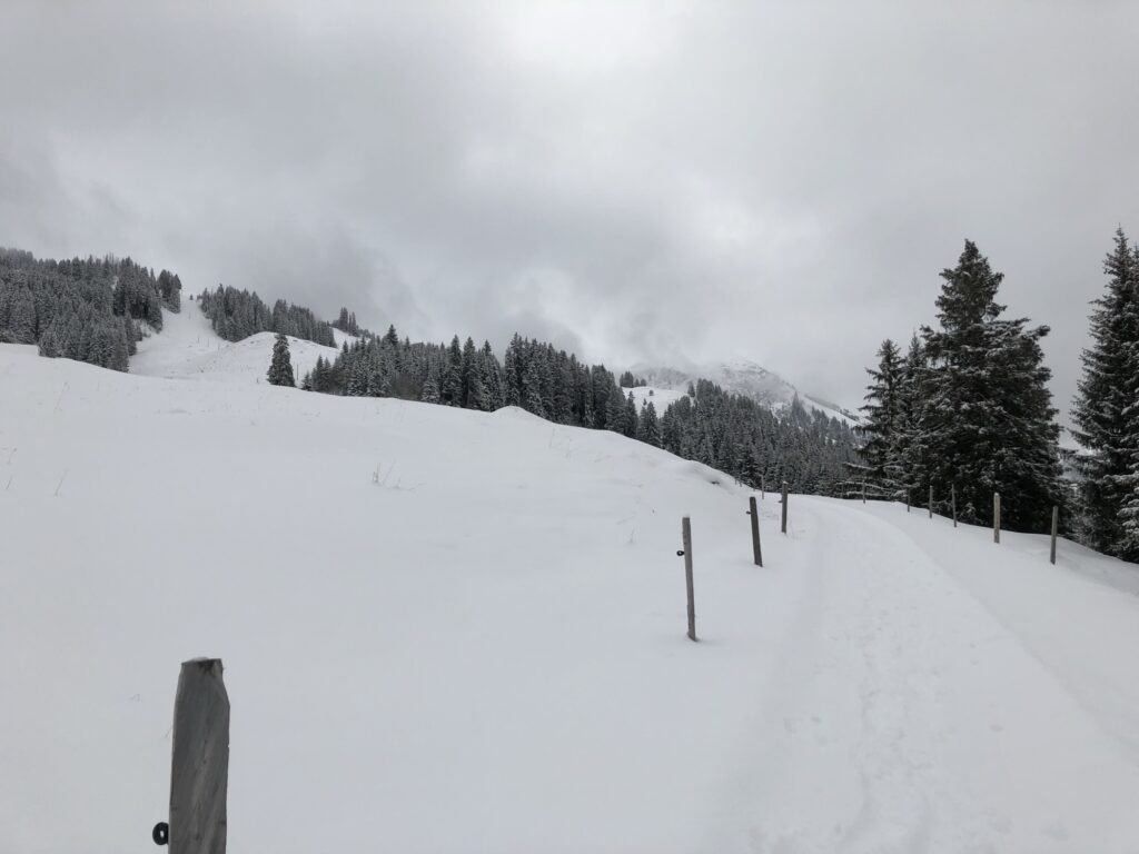 Winterwanderweg auf dem Springenboden im Diemtigtal mit verschneiten Wiesen, einzelnen Zaunpfählen und bewaldeten Berghängen im Hintergrund